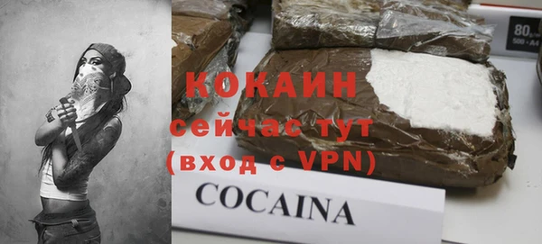 ALPHA PVP Богородицк