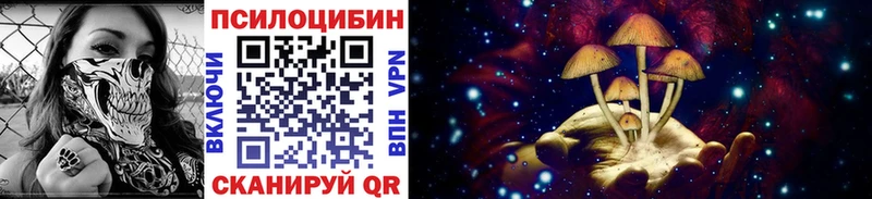 Псилоцибиновые грибы мухоморы  наркотики  Борзя 